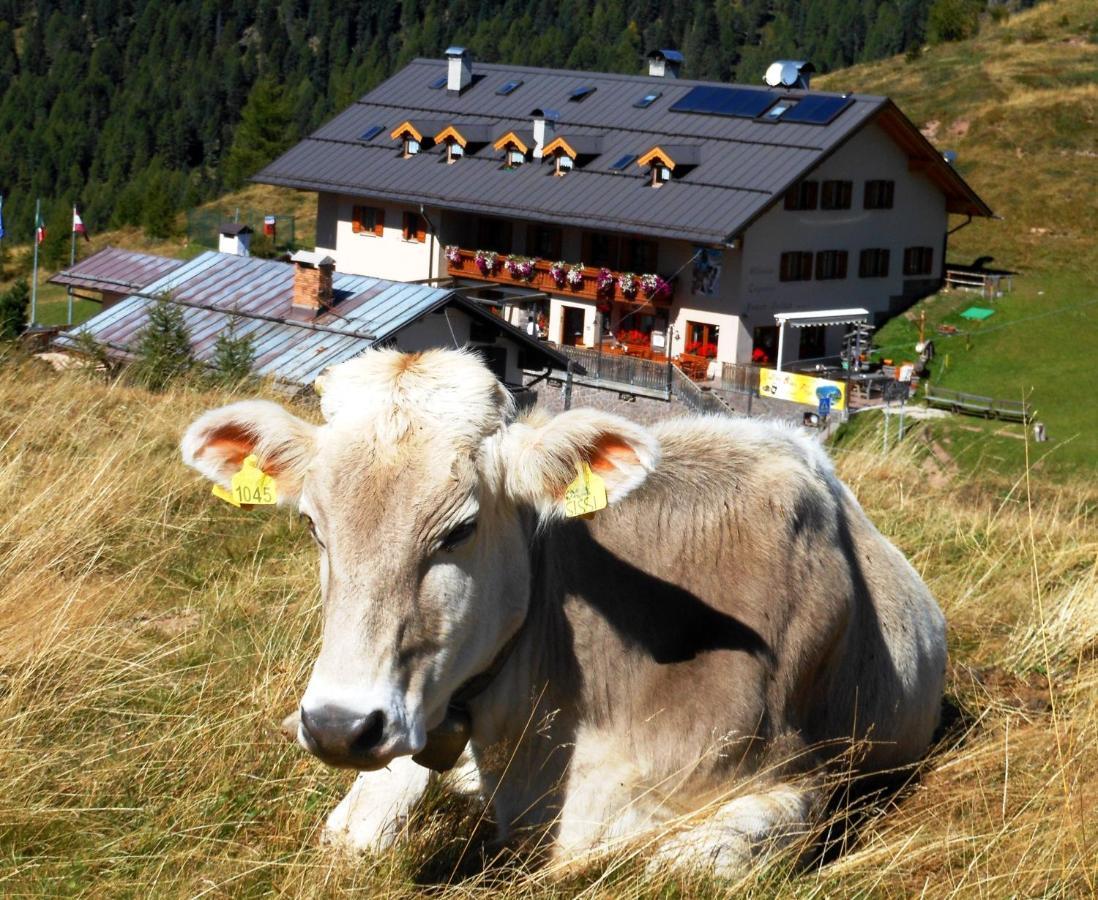 Rifugio Capanna Passo Valles Falcade Exteriör bild